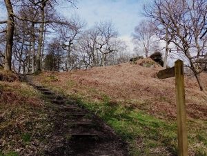Hardcastle Crags, 'To The Crags' Walk & Signpost