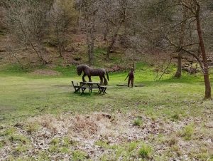 Hardcastle Crags, Horse Sculpture, Picnic Table