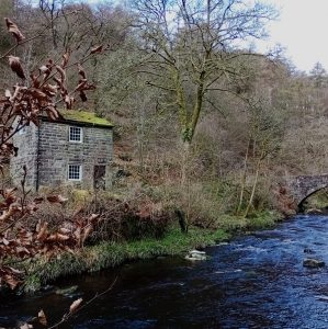 Hardcastle Crags: Ultimate Walk Guide (BEST Routes, Secret Spots & More!)
