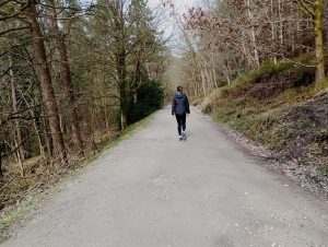Hardcastle Crags Walk - Estate Track
