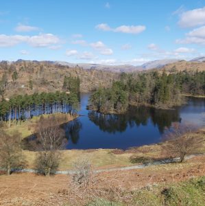 7 Of The BEST Coniston Walks (Ultimate Guide)