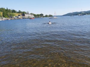 Wild Swimming in Windermere Lake at Borrans Park, Ambleside