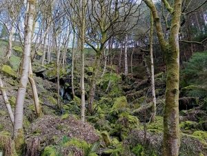 Hardcastle Crags, small hidden waterfall