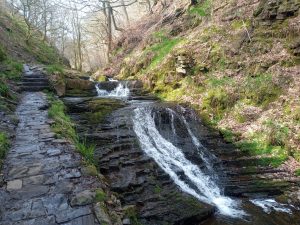 Gorpley Clough Waterfall Walk