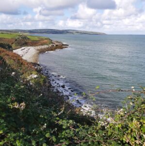 8 BEST Anglesey Walks To Try (Hidden Gems, Circular Trails & More!)