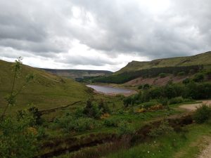 Yeoman Reservoir, The Trinnacle