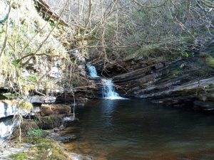 Gisburn Forest Waterfall, Forest of Bowland