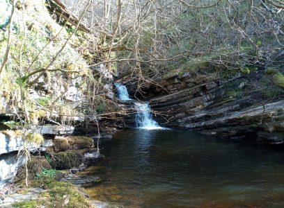 Forest Of Bowland Waterfall Walk – How To Find Gisburn Forest Waterfall