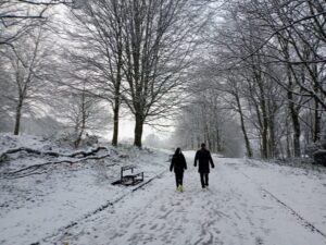 Heaton Park Walk, Manchester