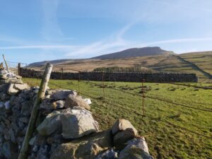 Walk to Pen-y-ghent, Sunny Day
