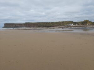 Saltburn Beach, Cliffs