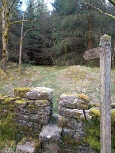 Gisburn Forest Waterfall Walk, Fingerpost, Gisburn Forest