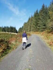 Kielder Forest Walk, Kielder Camping, Hike Trail
