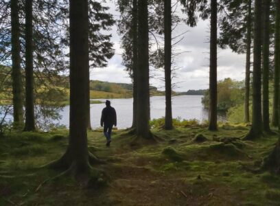 Kielder Forest Camping – Kielder Campsite Review ⛺