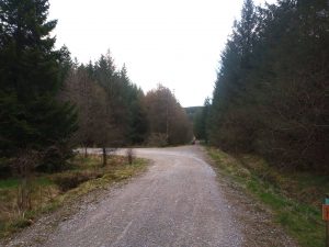 Gisburn Forest Waterfall Walk, Forest of Bowland